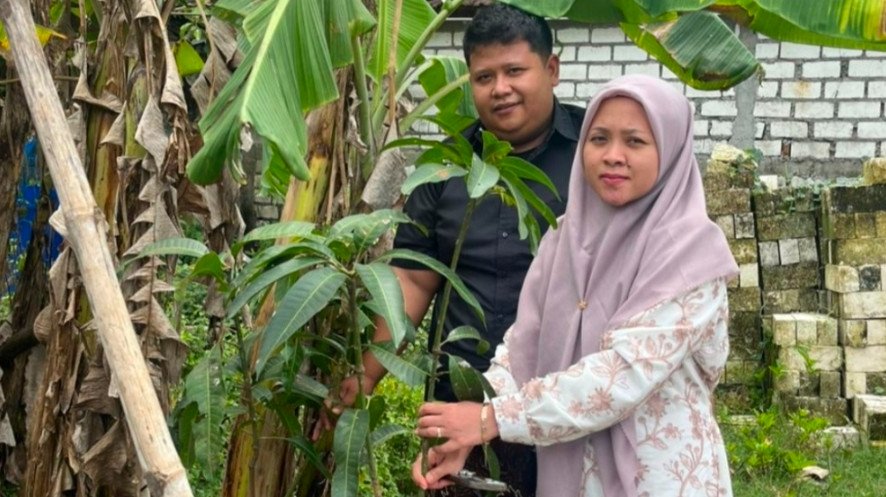 Mahar Unik Pohon Mangga di Rembang, Ini Kisahnya